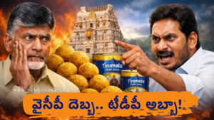 YCP vs TDP