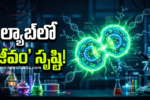 Artifical SpudCell creation in Lab